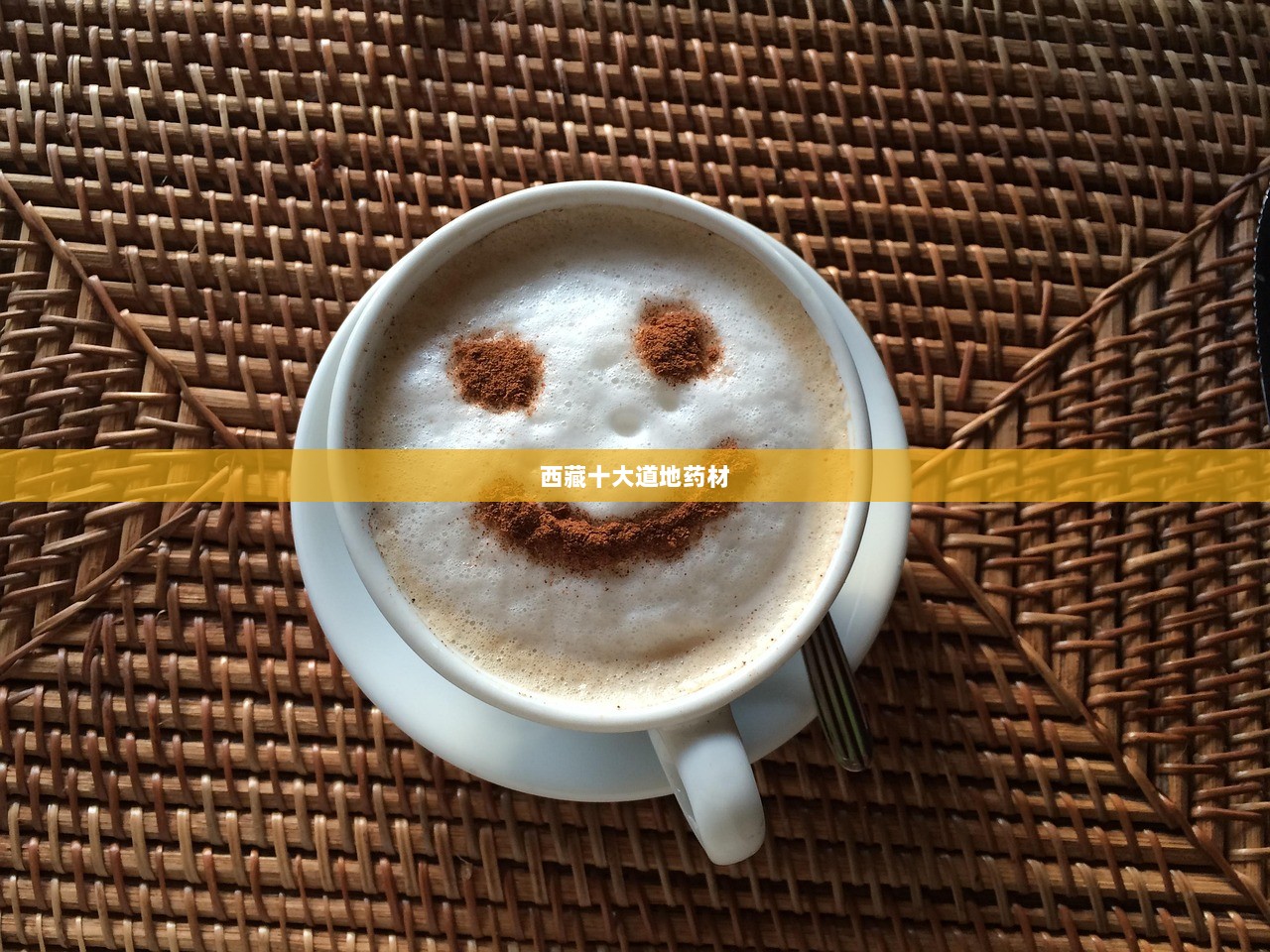 西藏十大道地药材  第1张