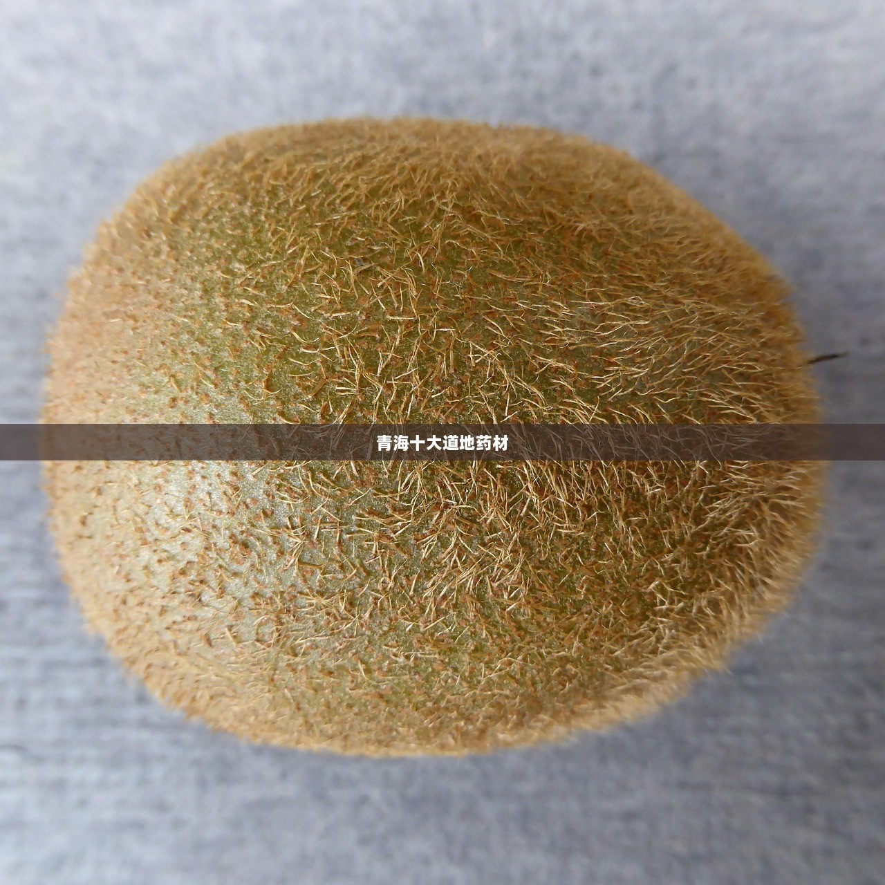 青海十大道地药材