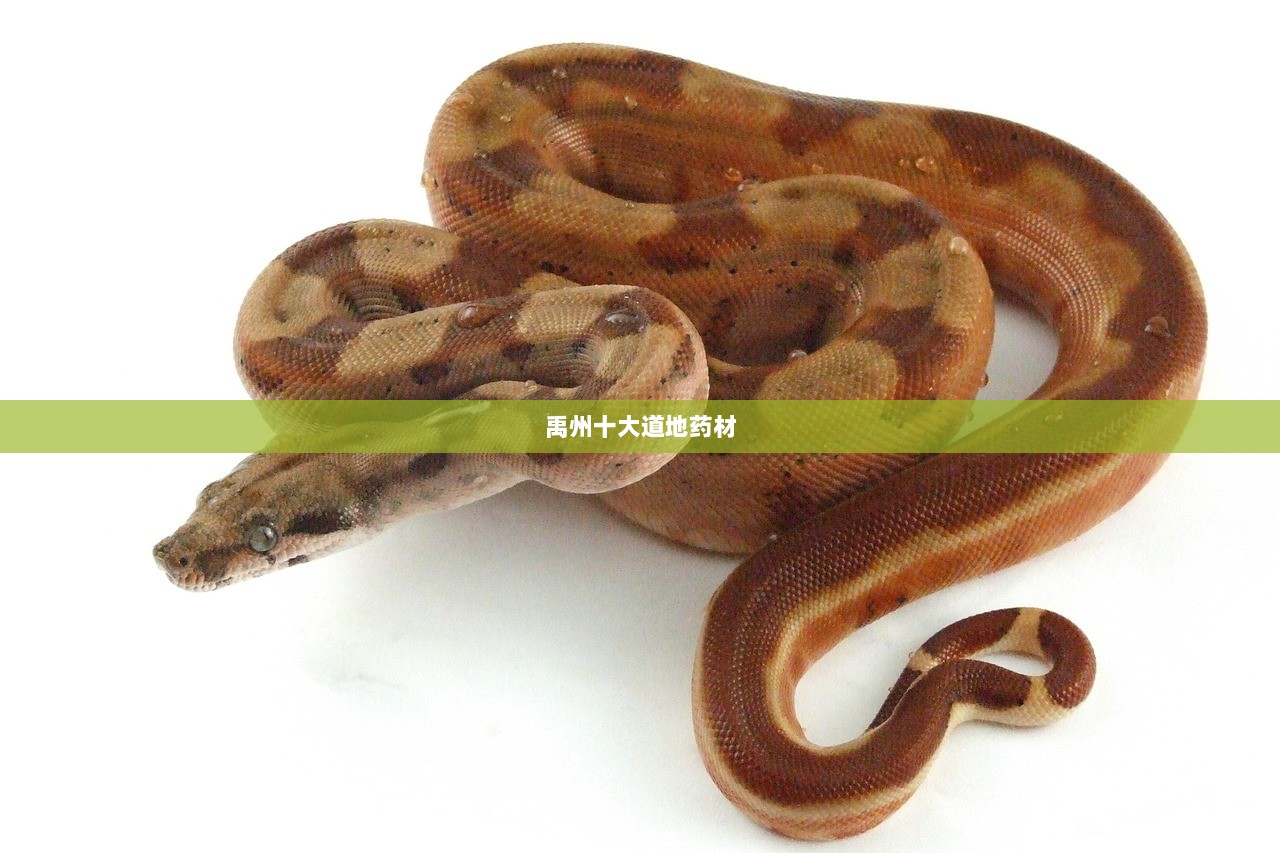 禹州十大道地药材