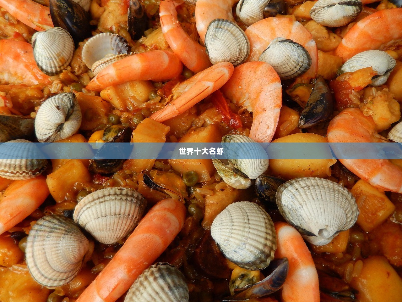 世界十大名虾