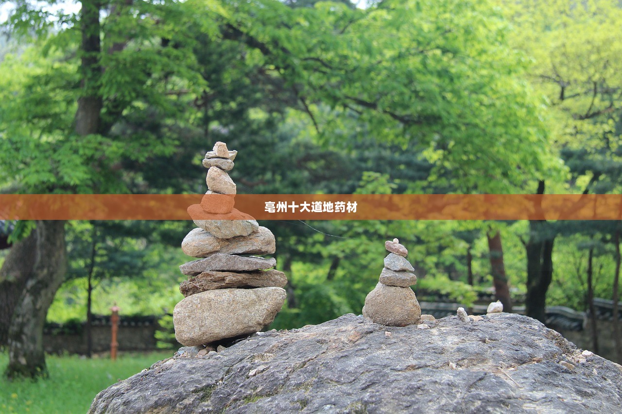 亳州十大道地药材