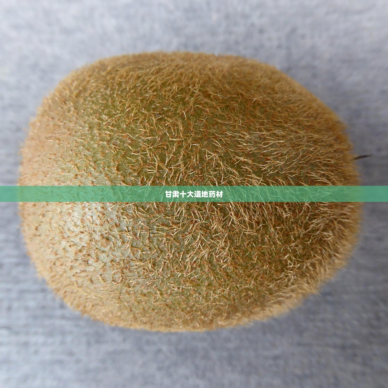 甘肃十大道地药材 第1张 甘肃十大道地药材 第1张
