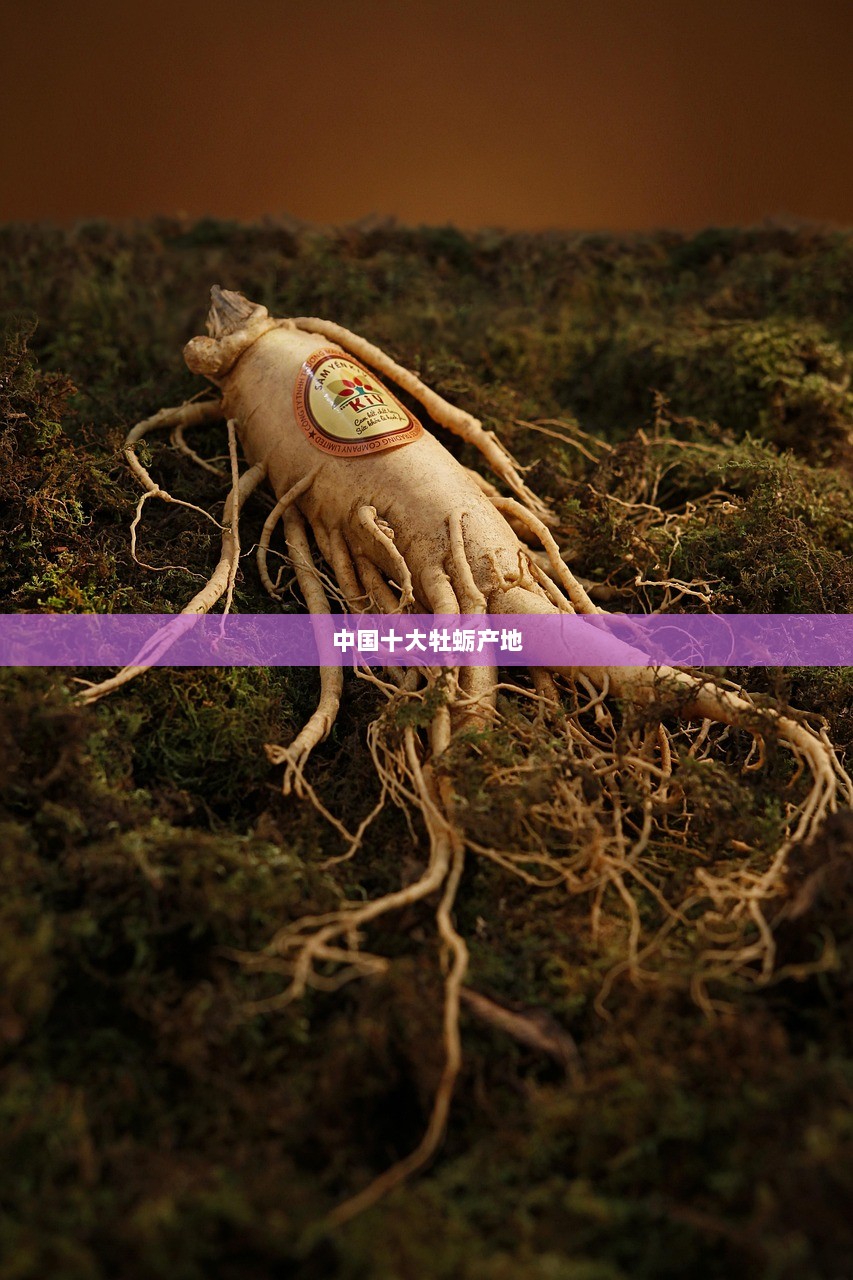 中国十大牡蛎产地  第1张