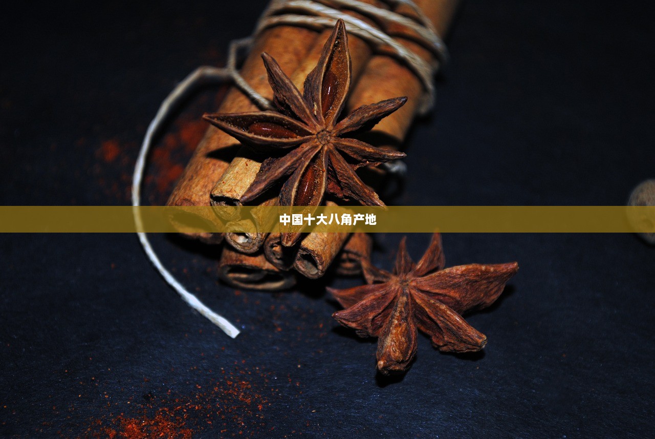 中国十大八角产地