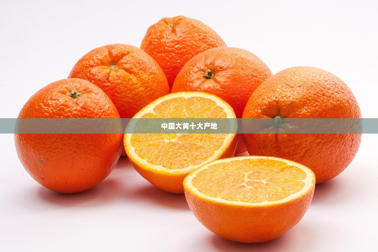 中国大黄十大产地