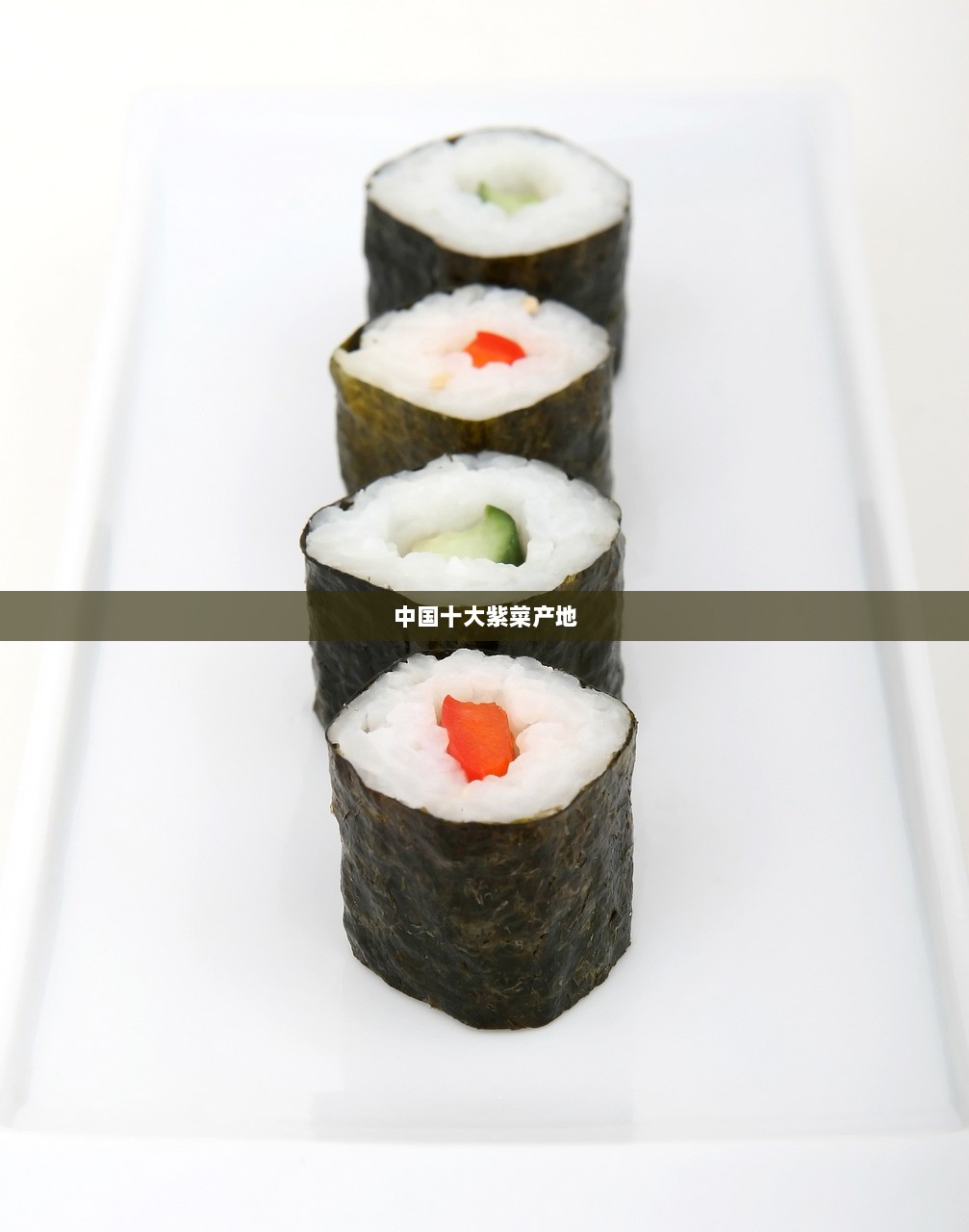 中国十大紫菜产地