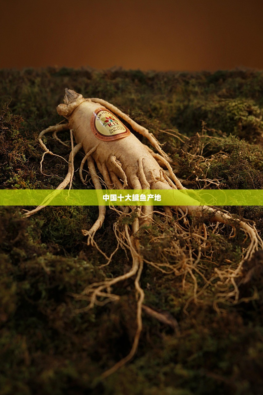 中国十大鳙鱼产地  第1张 中国十大鳙鱼产地  第1张