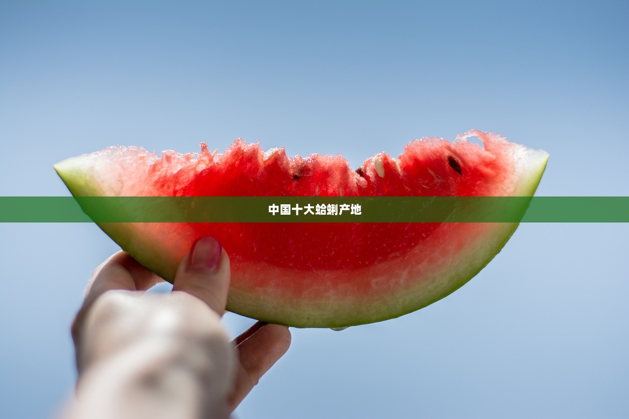 中国十大蛤蜊产地  第1张 中国十大蛤蜊产地  第1张