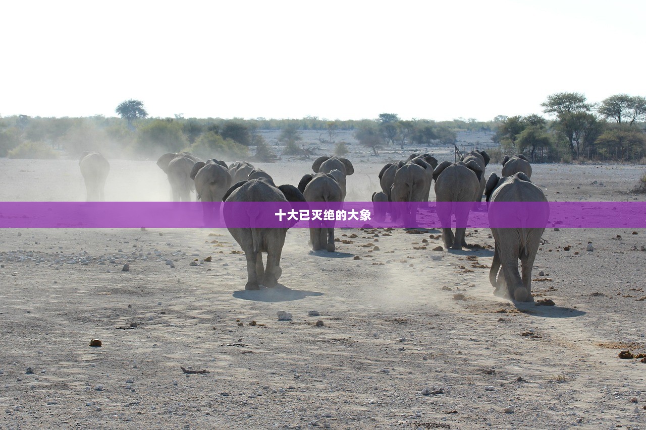 十大已灭绝的大象