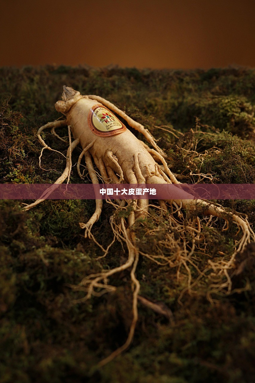 中国十大皮蛋产地