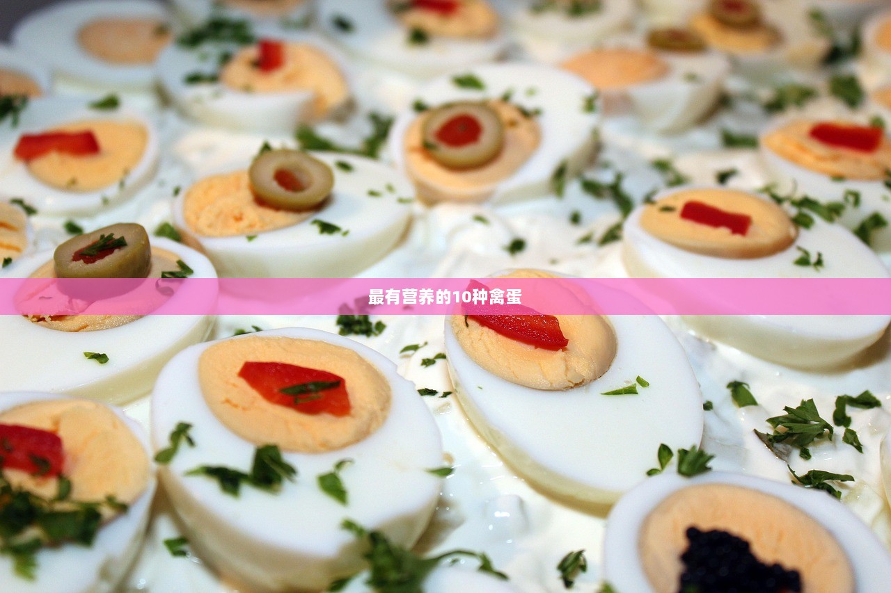 最有营养的10种禽蛋