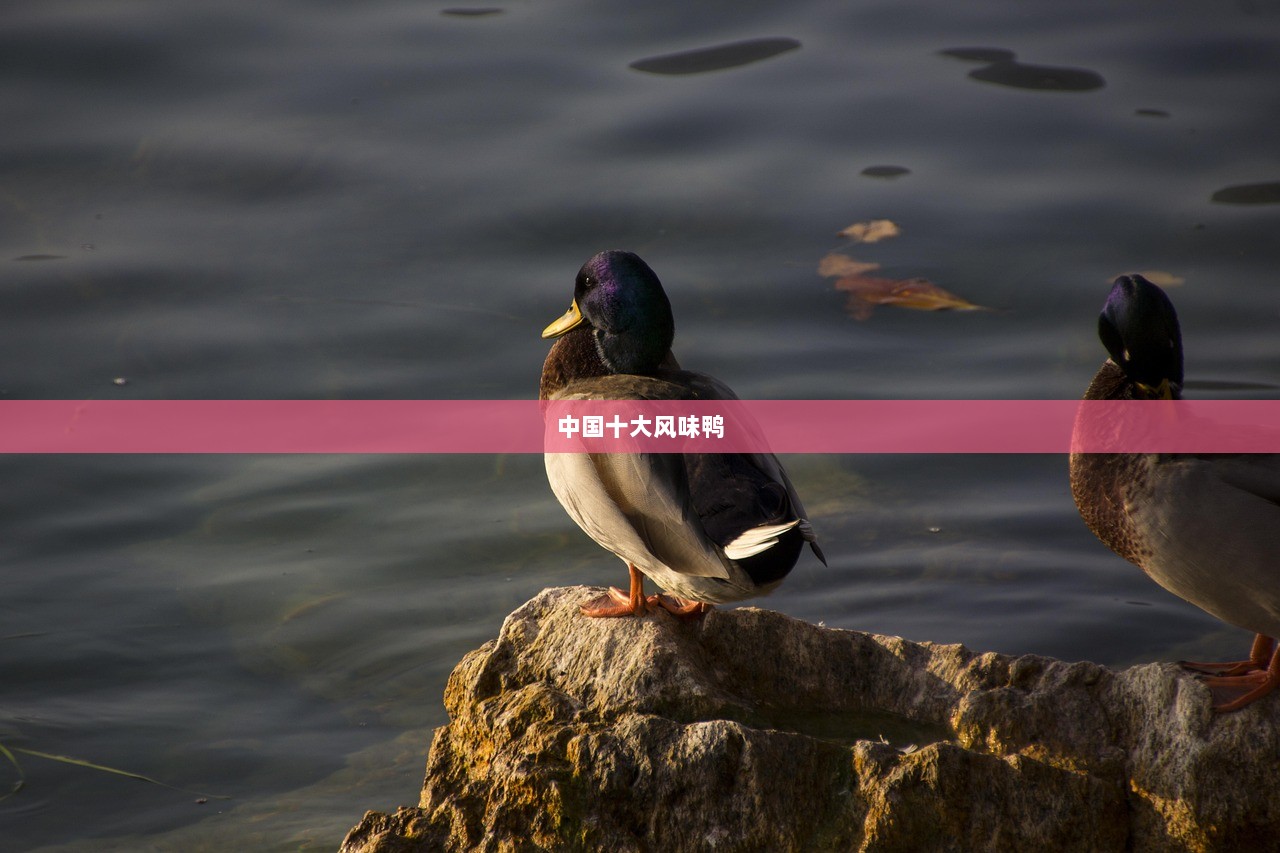 中国十大风味鸭