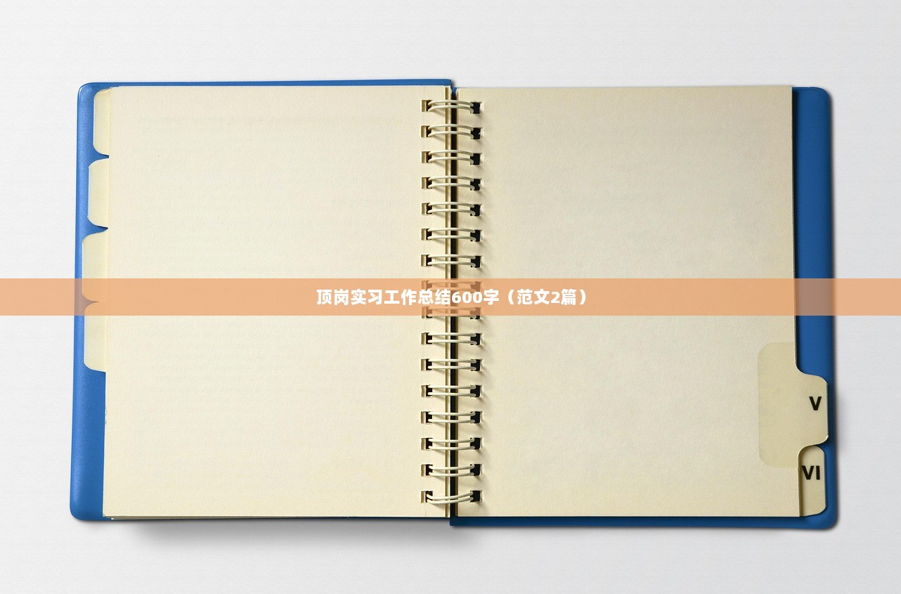 顶岗实习工作总结600字(范文2篇)