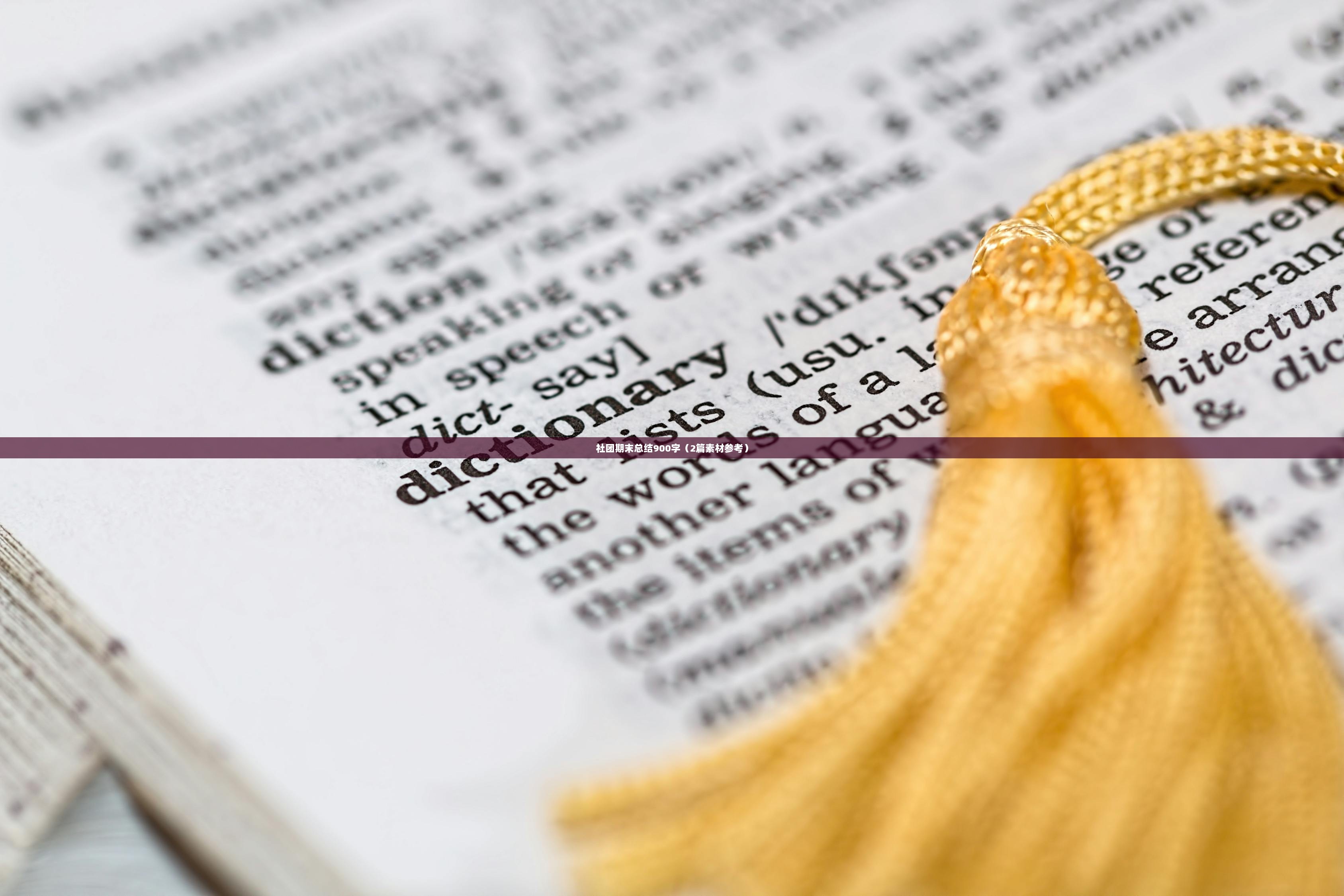 社团期末总结900字（2篇素材参考）