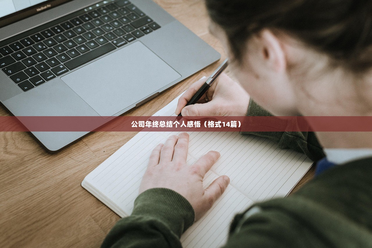 公司年终总结个人感悟（格式14篇）  第1张