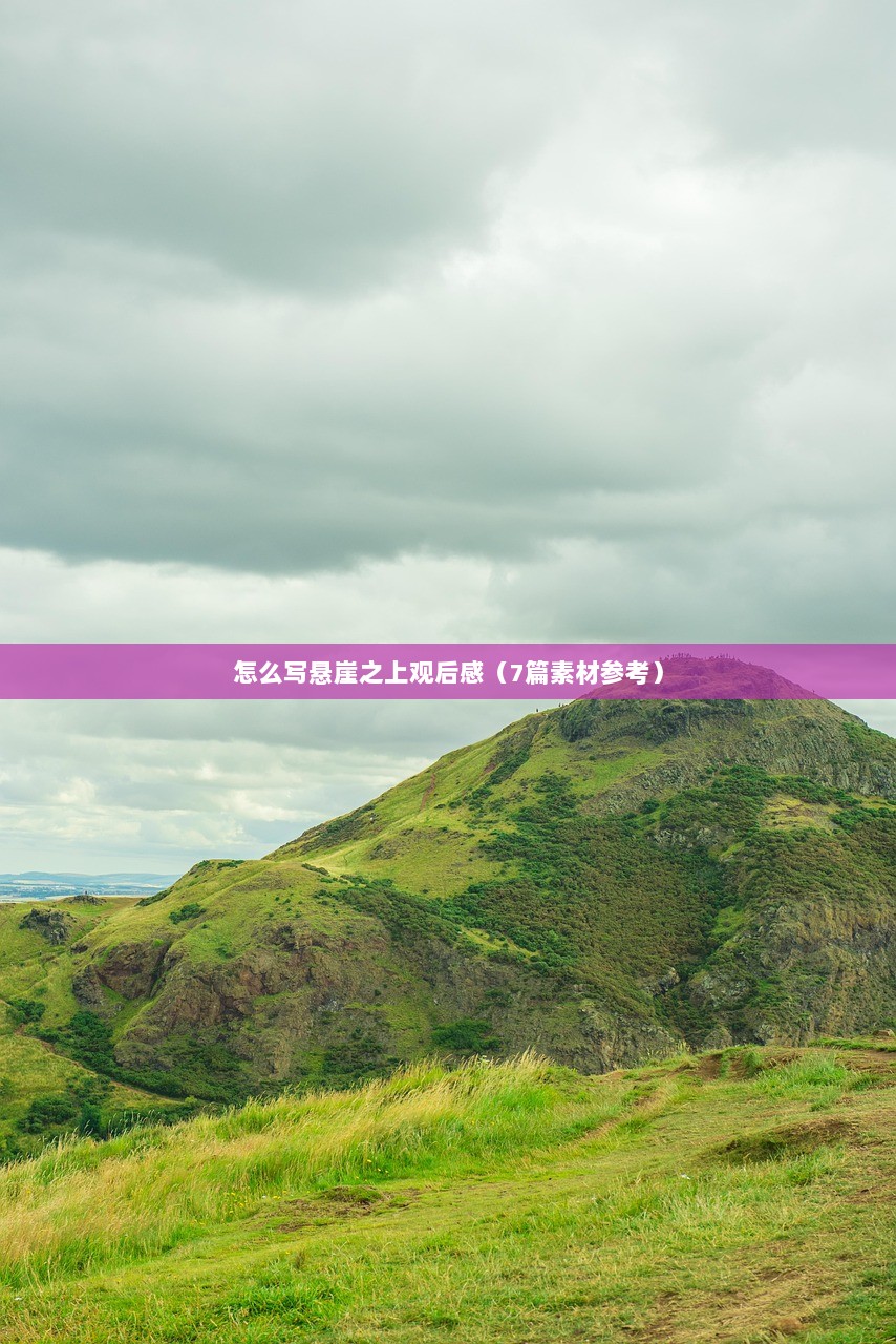 怎么写悬崖之上观后感（7篇素材参考）