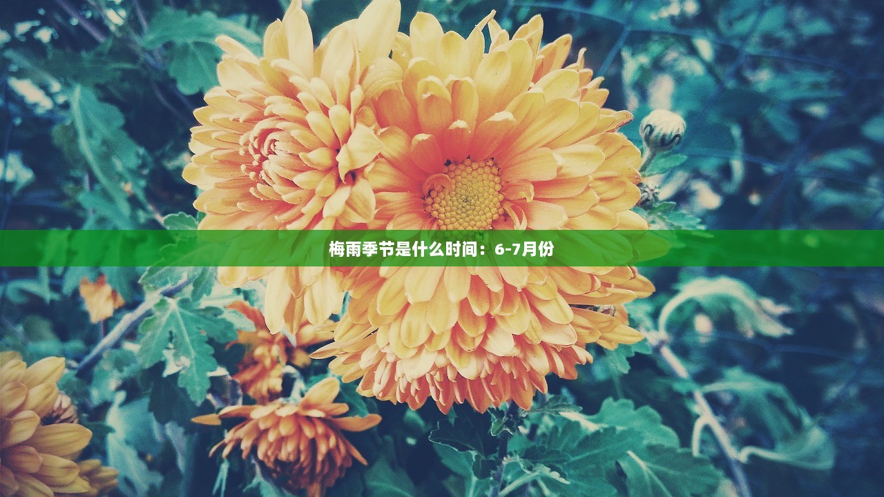 梅雨季节是什么时间：6-7月份  第1张