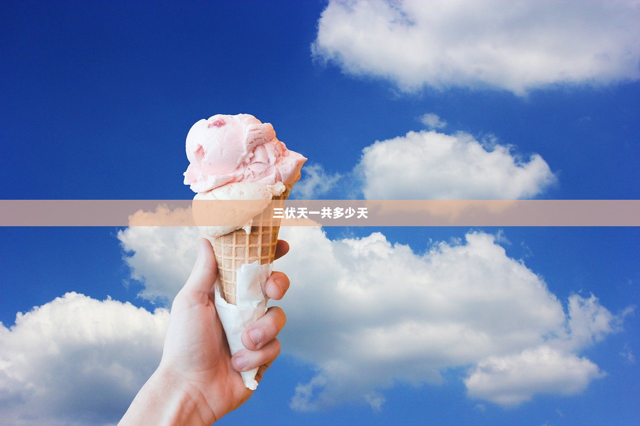 三伏天一共多少天  第1张