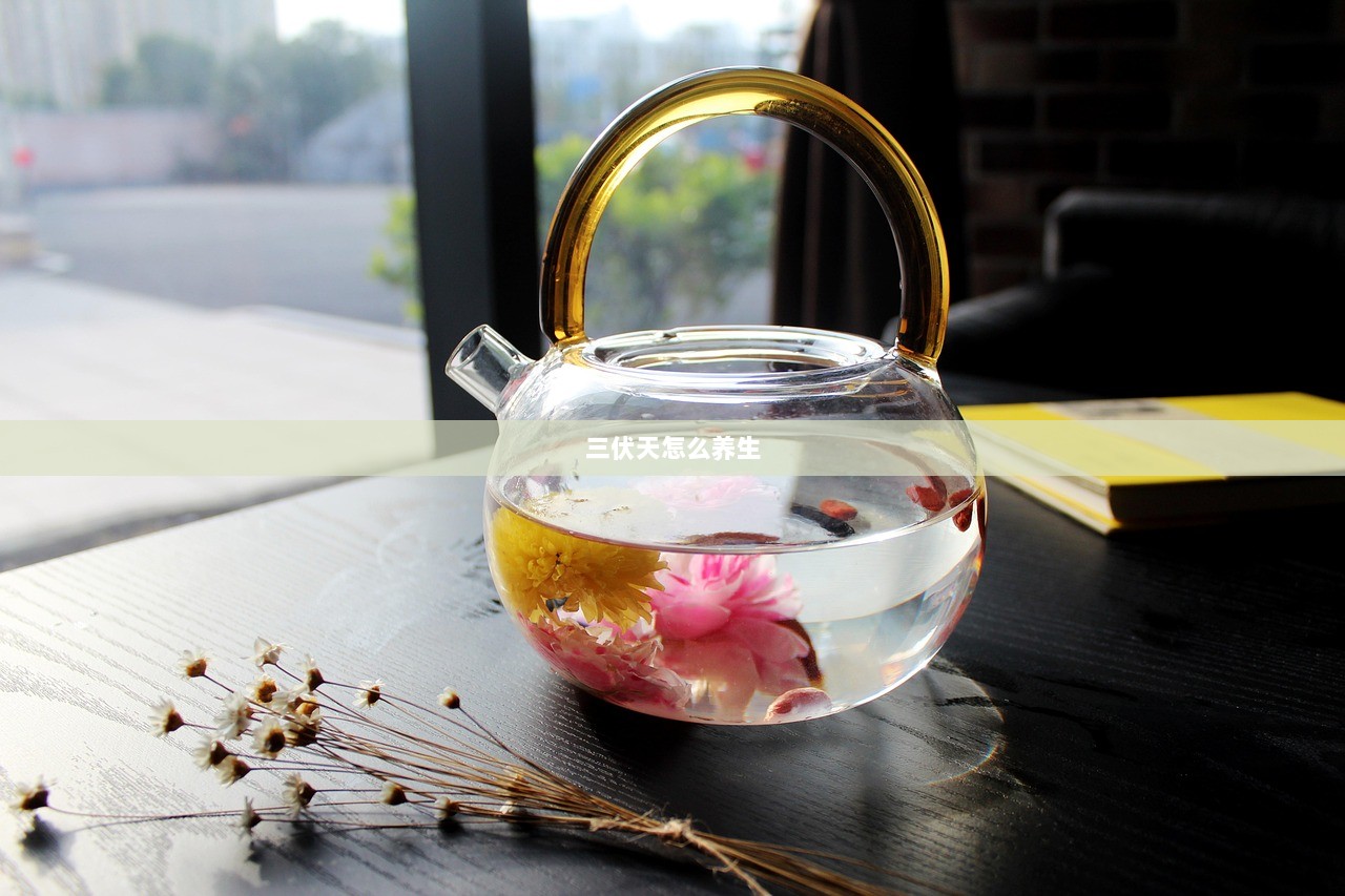 三伏天怎么养生  第1张