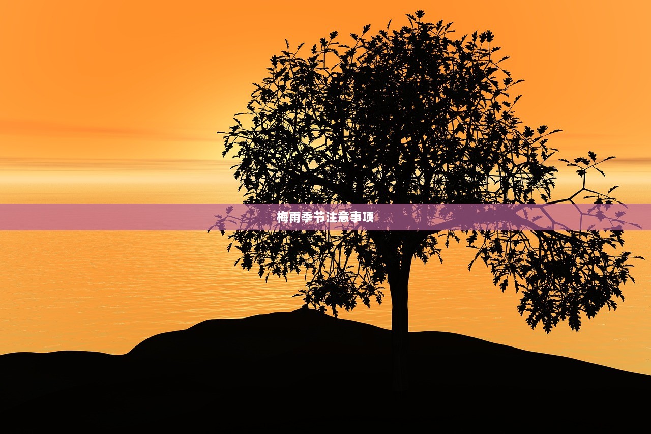 梅雨季节注意事项  第1张