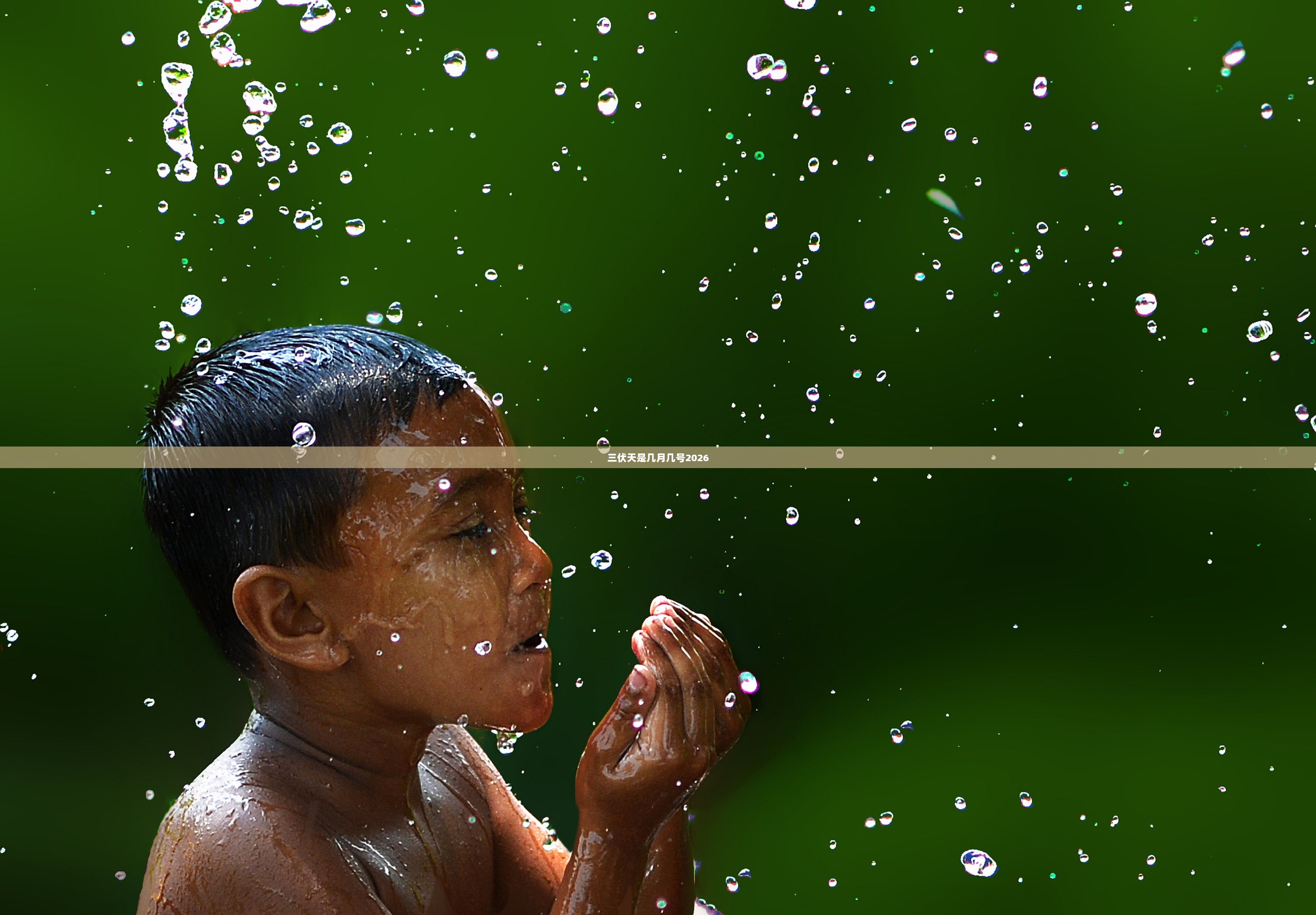 三伏天是几月几号2026 第1张 三伏天是几月几号2026 第1张