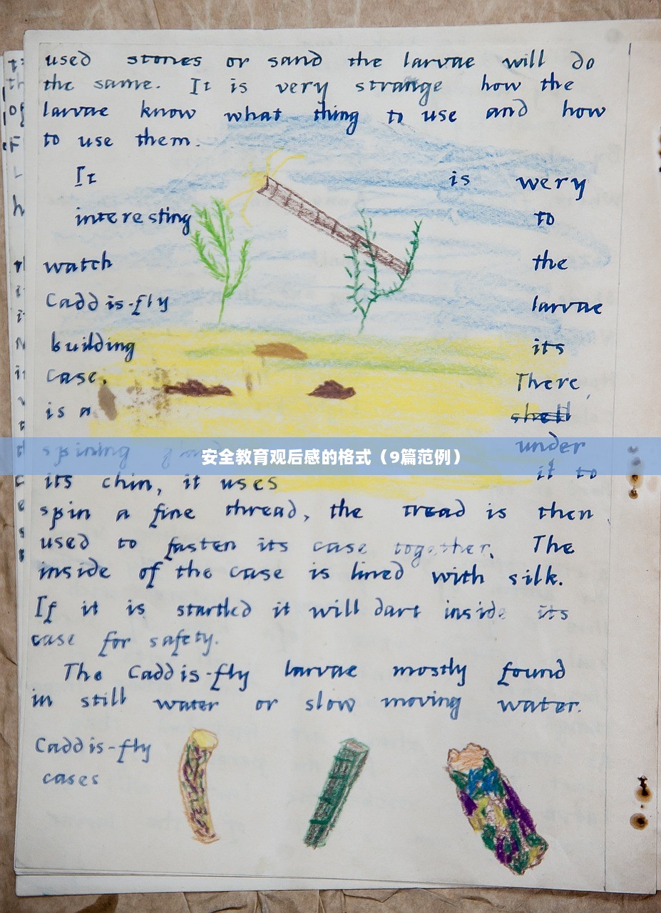 安全教育观后感的格式(9篇范例) 第1张 安全教育观后感的格式(9篇范例) 第1张