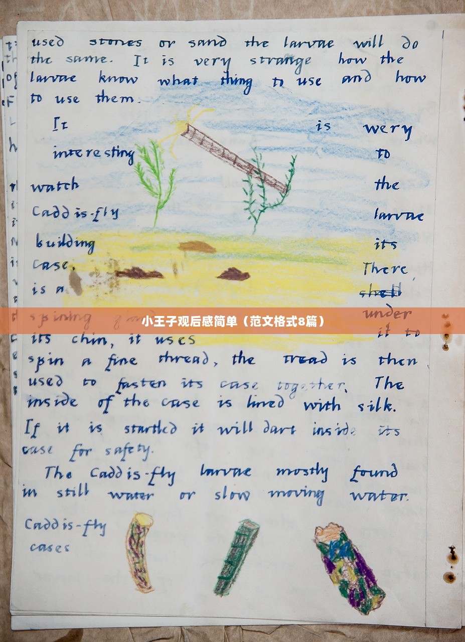 小王子观后感简单（范文格式8篇）