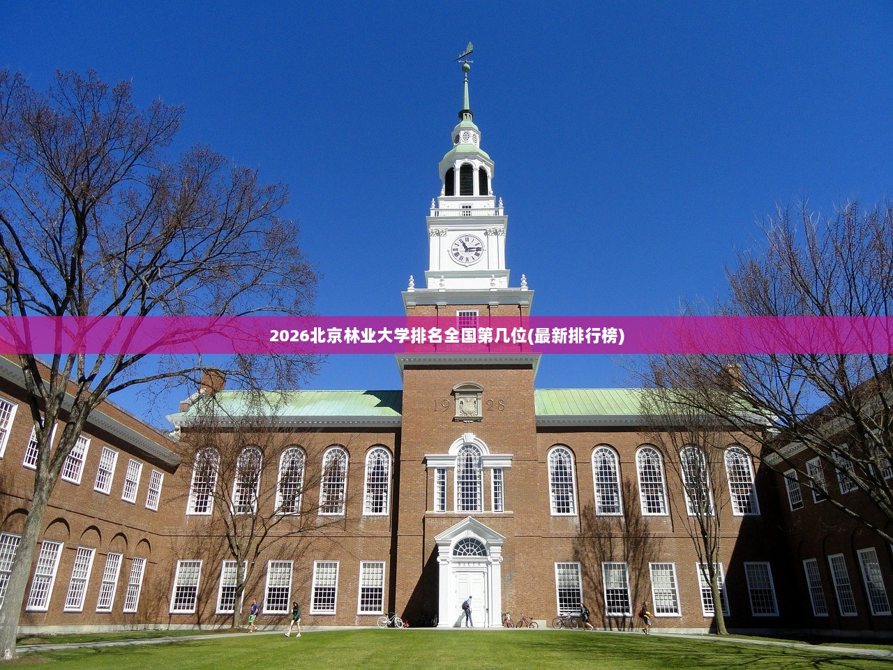 2026北京林业大学排名全国第几位(最新排行榜)