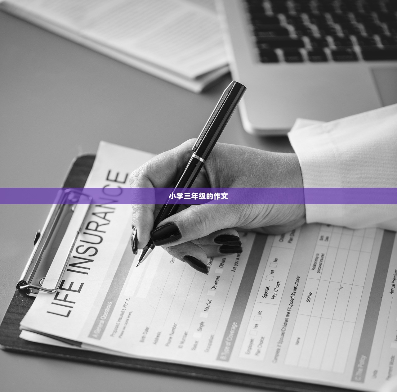 小学三年级的作文