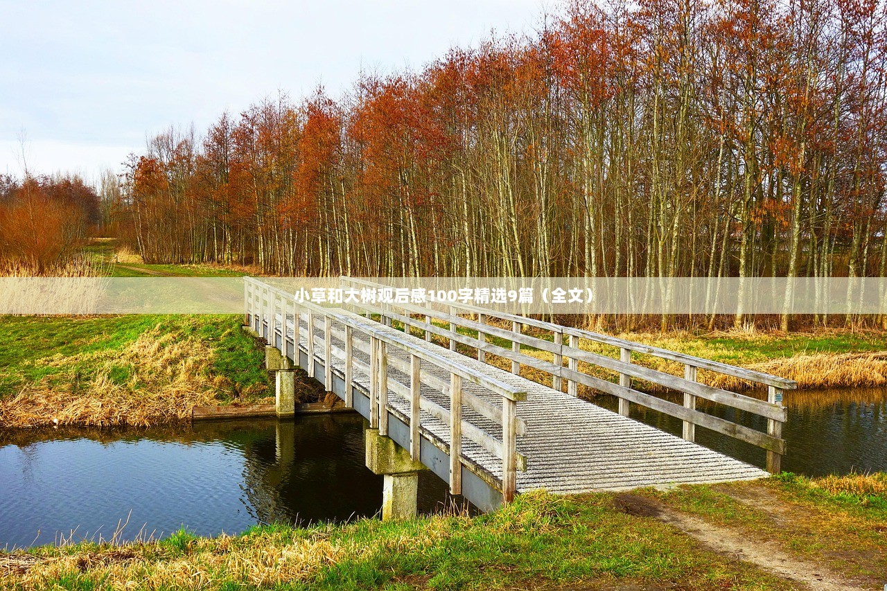 小草和大树观后感100字精选9篇（全文）