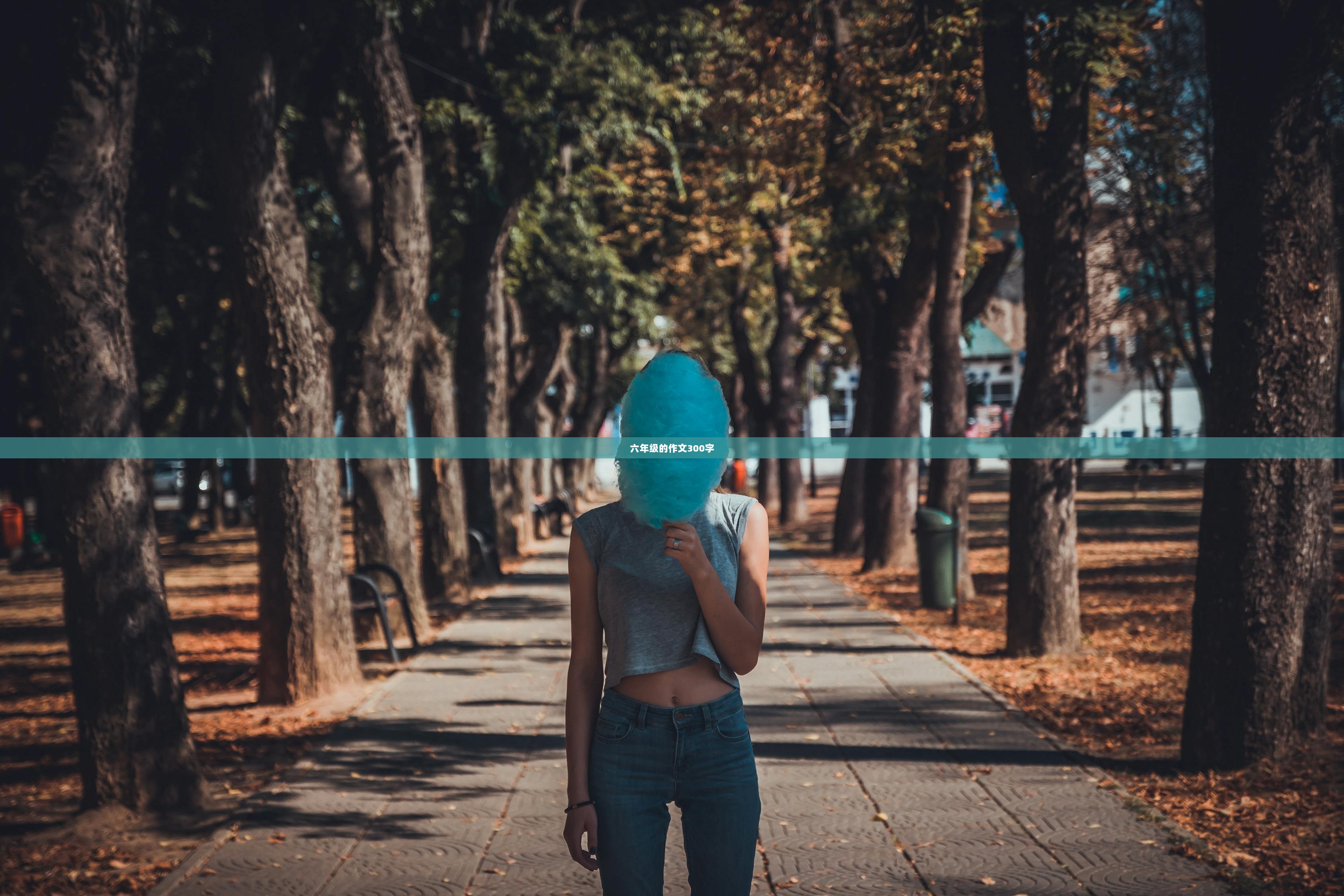 六年级的作文300字