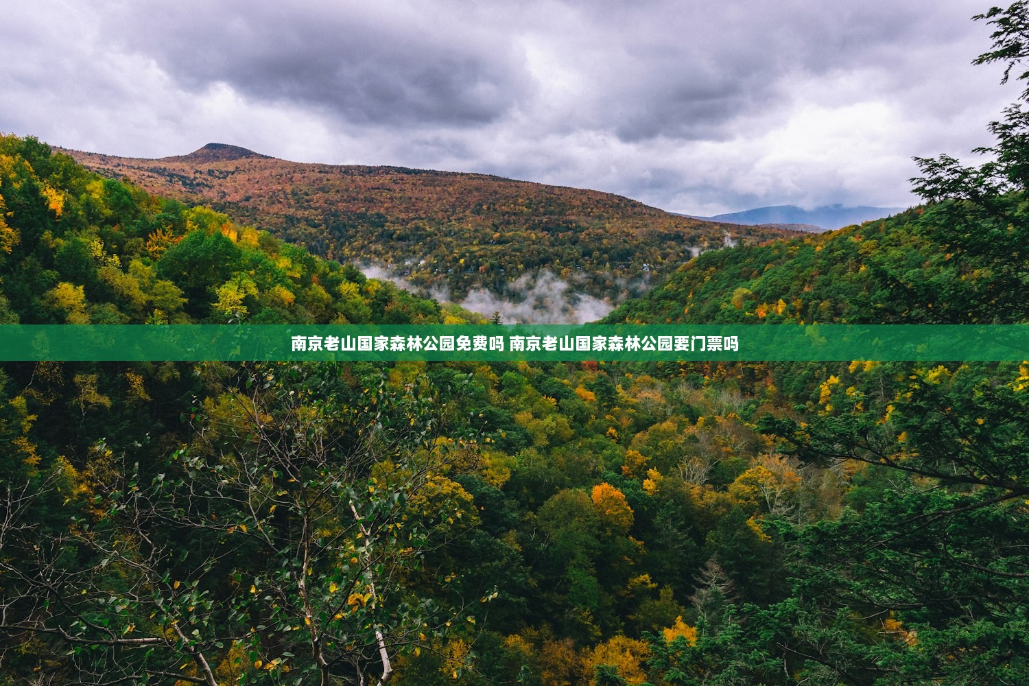 南京老山国家森林公园免费吗 南京老山国家森林公园要门票吗