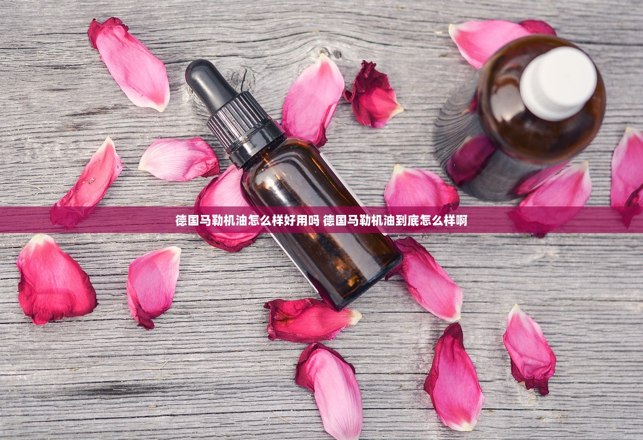 德国马勒机油怎么样好用吗 德国马勒机油到底怎么样啊