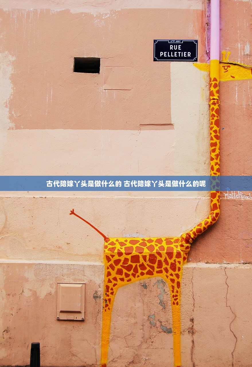 古代陪嫁丫头是做什么的 古代陪嫁丫头是做什么的呢