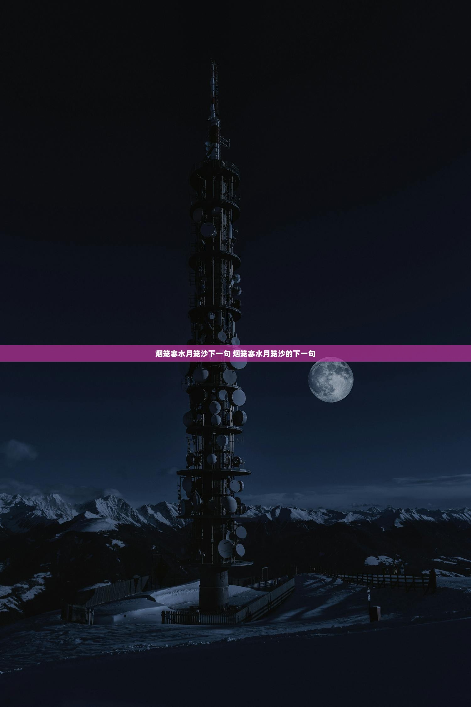 烟笼寒水月笼沙下一句 烟笼寒水月笼沙的下一句