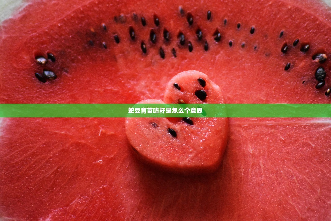 蛇豆育苗嗜籽是怎么个意思