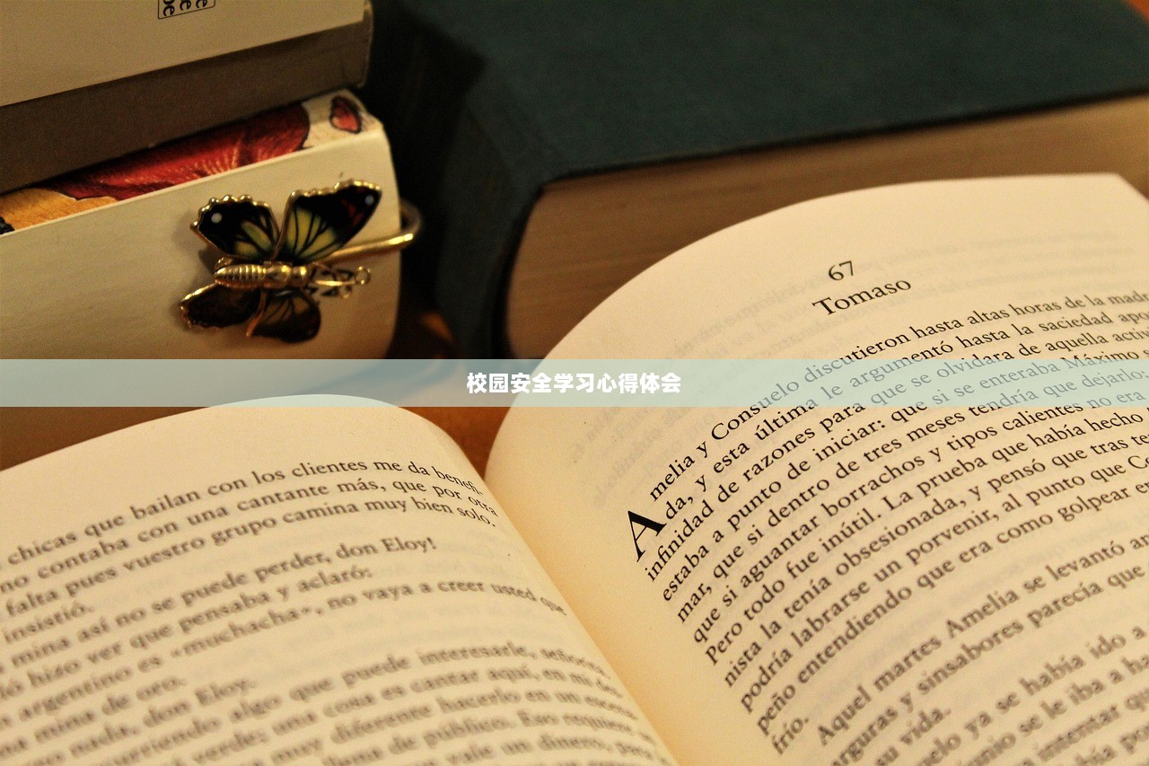 校园安全学习心得体会