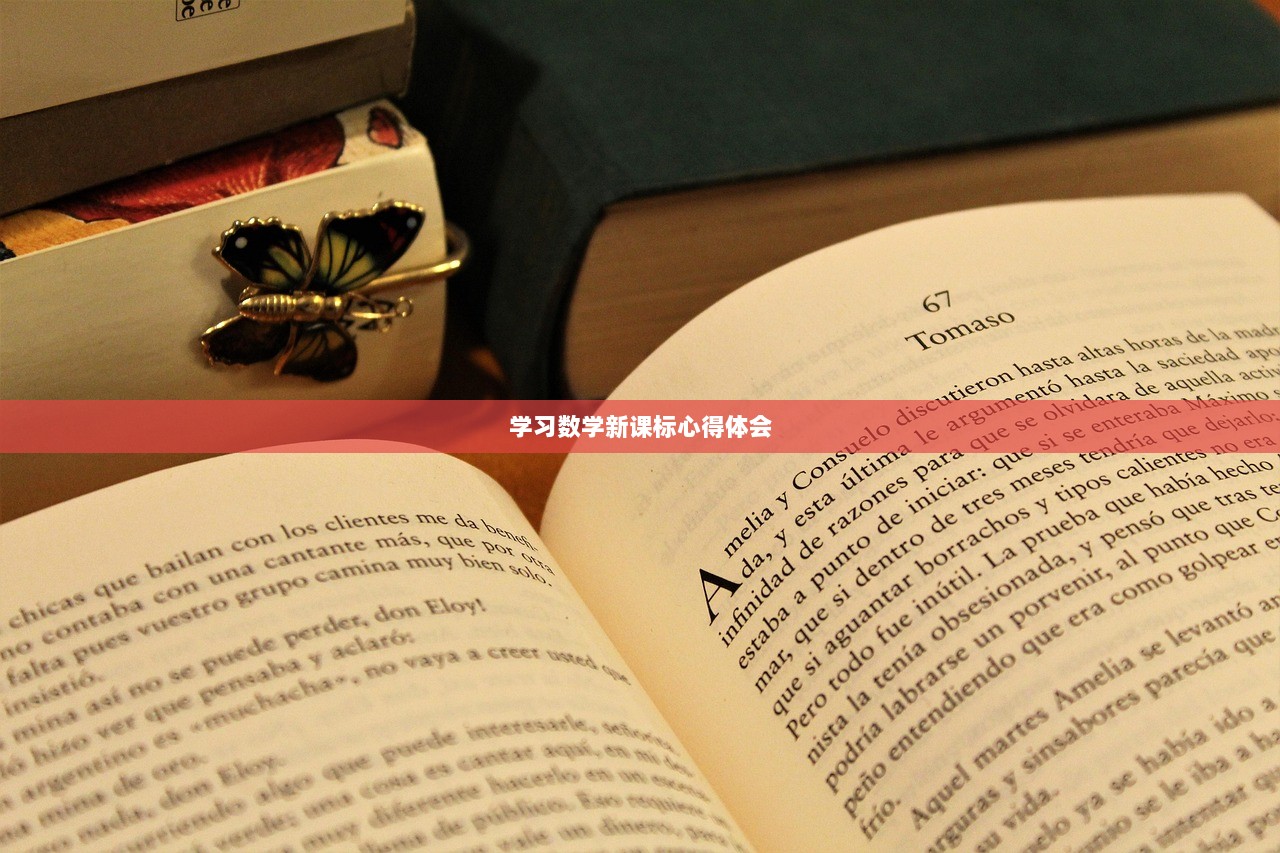 学习数学新课标心得体会