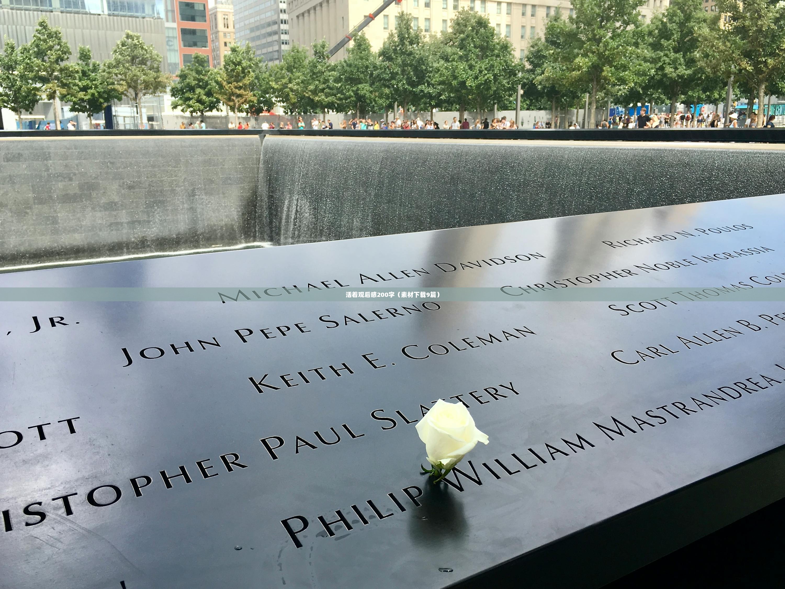 活着观后感200字（素材下载9篇）