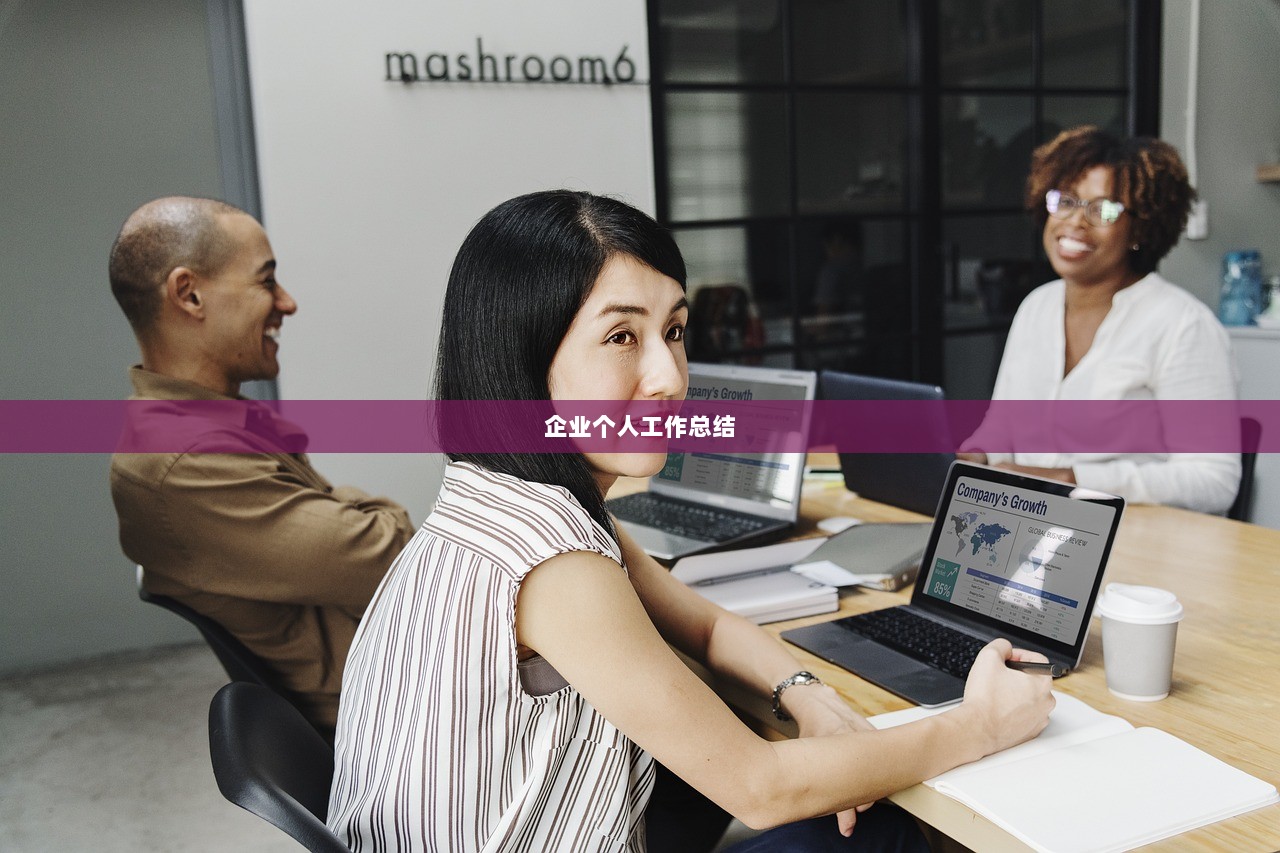 企业个人工作总结  第1张