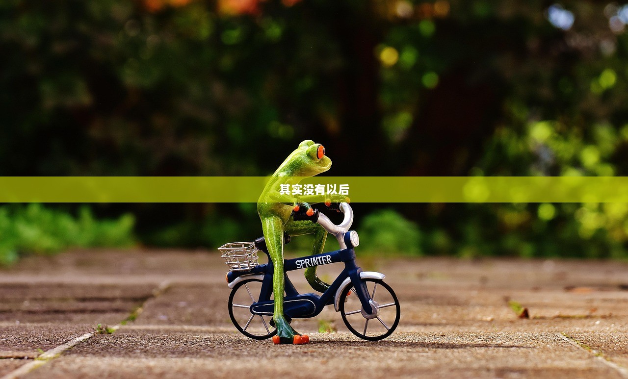 其实没有以后  第1张