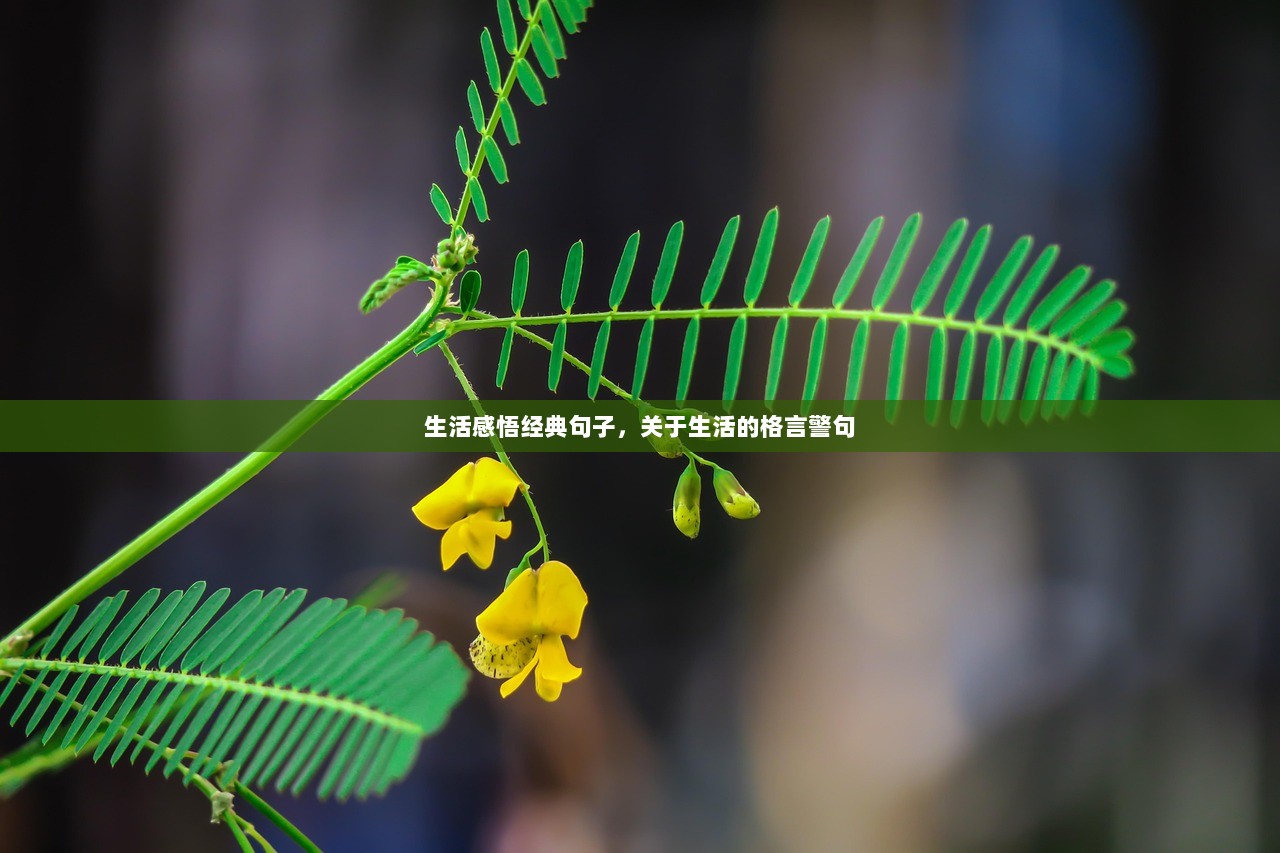 生活感悟经典句子，关于生活的格言警句  第1张