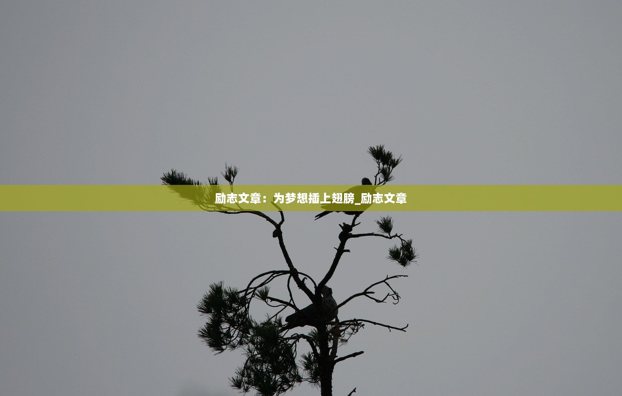 励志文章：为梦想插上翅膀_励志文章  第1张