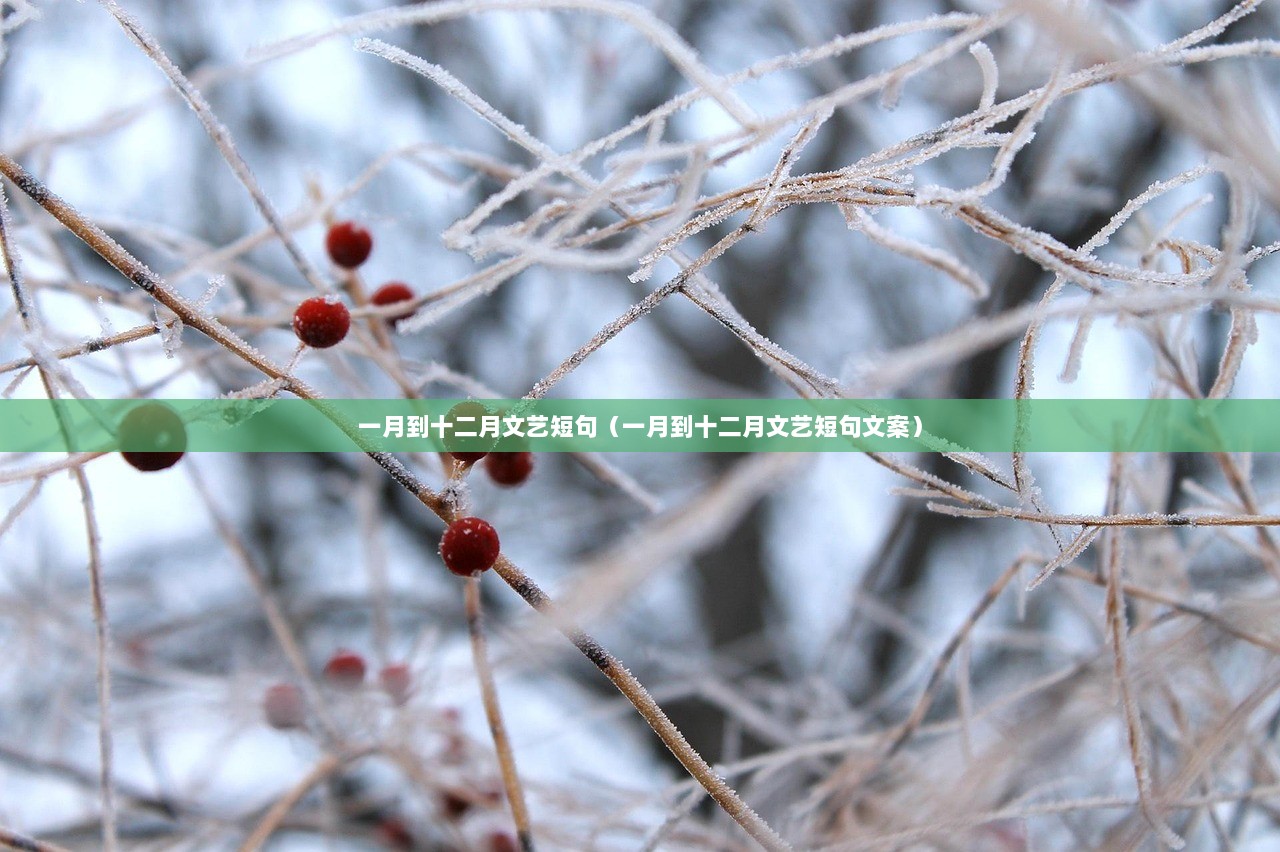 一月到十二月文艺短句（一月到十二月文艺短句文案）  第1张