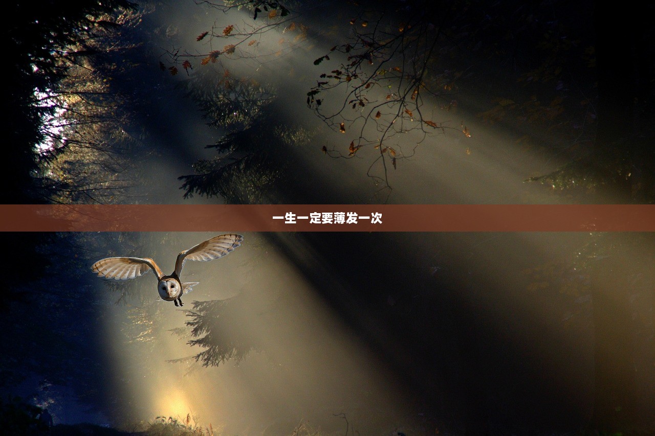 一生一定要薄发一次  第1张