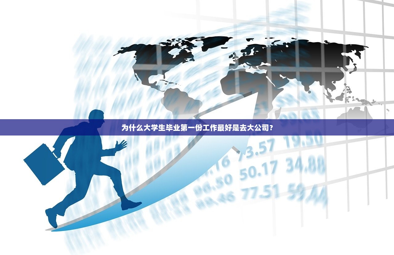 为什么大学生毕业第一份工作最好是去大公司? 第1张 为什么大学生毕业第一份工作最好是去大公司? 第1张