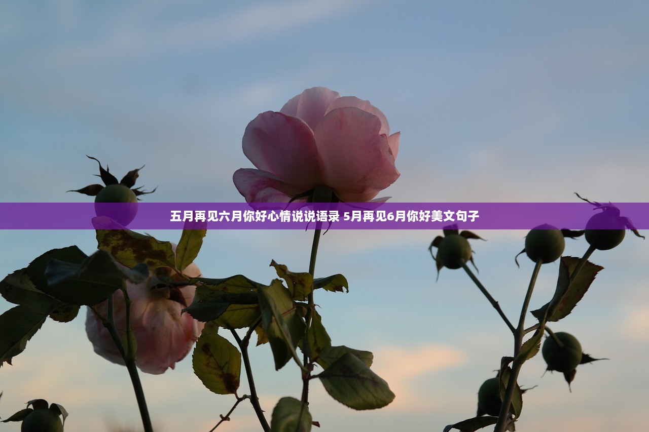 五月再见六月你好心情说说语录 5月再见6月你好美文句子