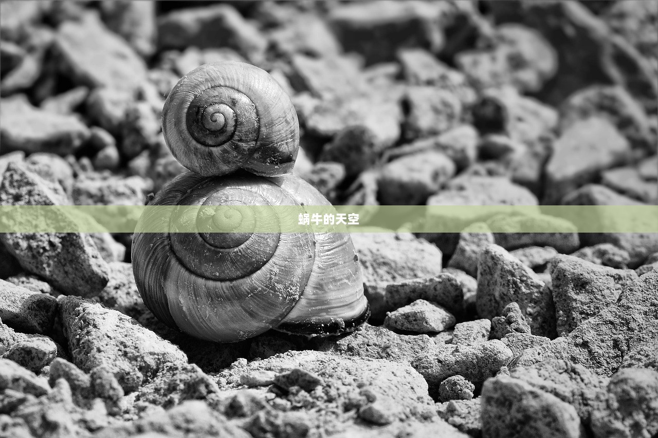 蜗牛的天空  第1张