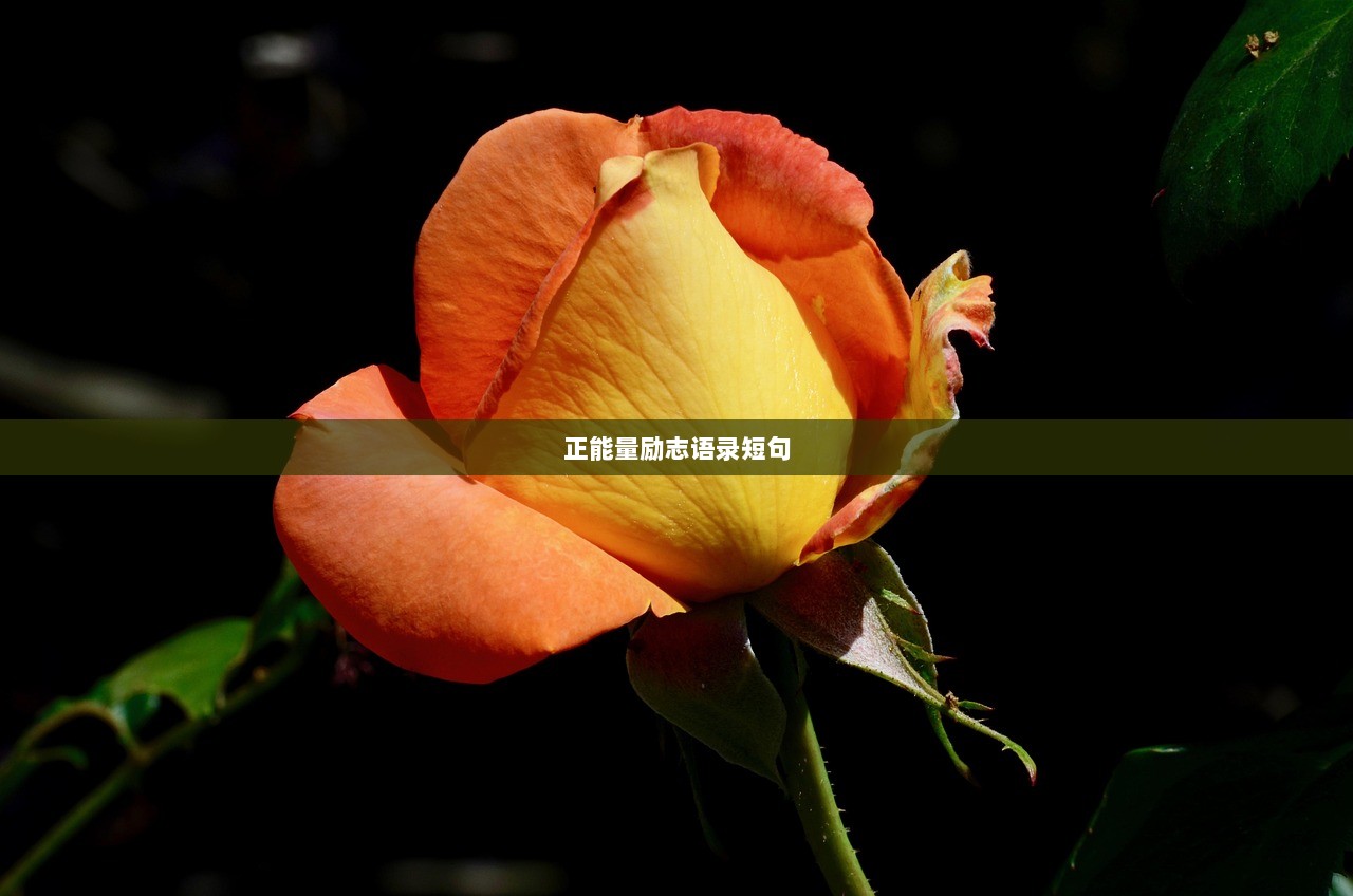 正能量励志语录短句  第1张