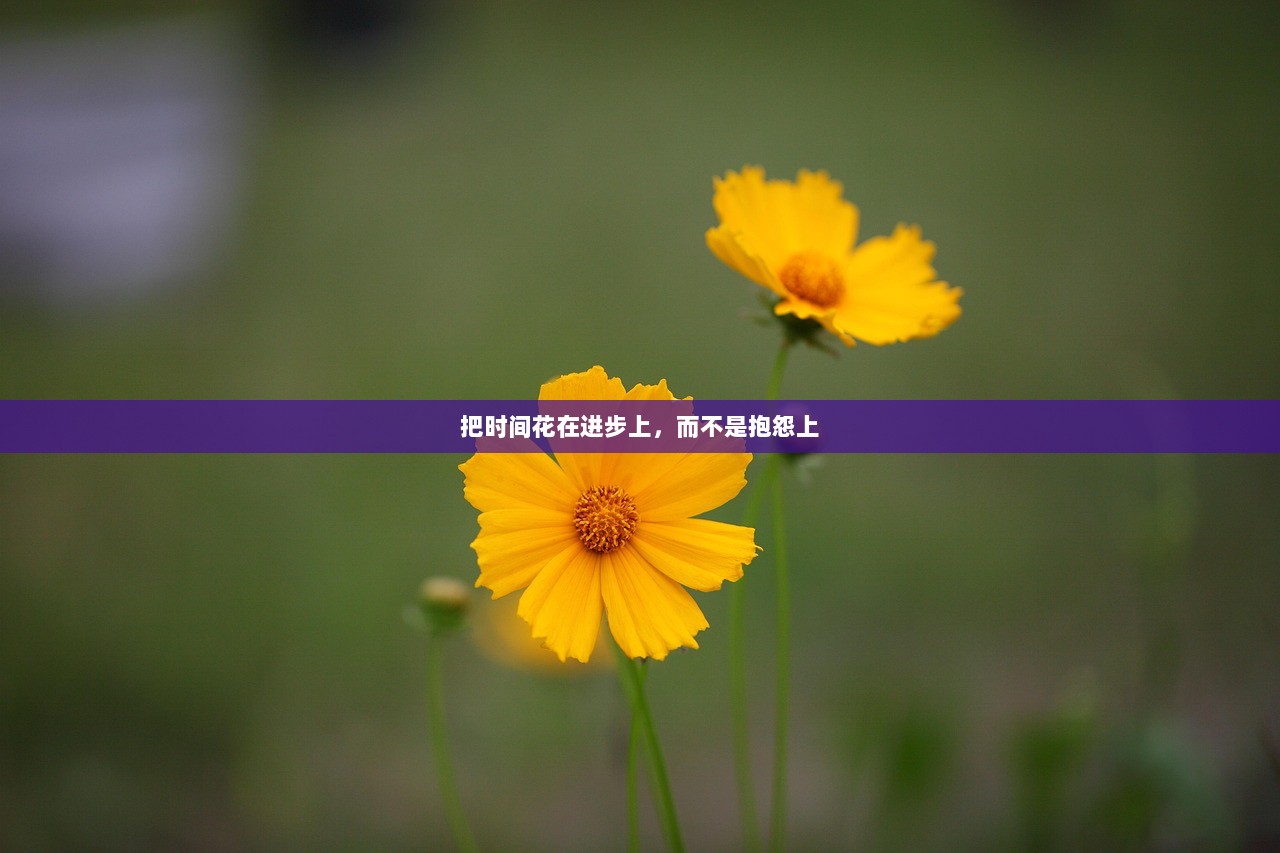 把时间花在进步上，而不是抱怨上  第1张